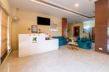 treebo trend little budhha