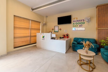 treebo trend little budhha