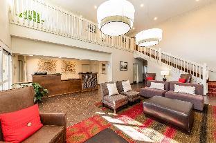 quality inn and suites university fort collins