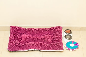 aurika coorg luxury by lemon tree hotels
