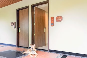 aurika coorg luxury by lemon tree hotels