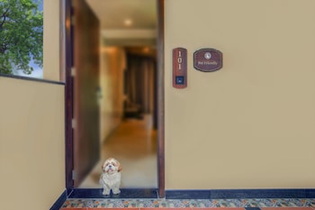aurika coorg luxury by lemon tree hotels