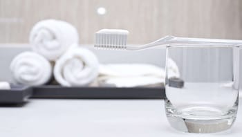 magnuson hotel fowlerville