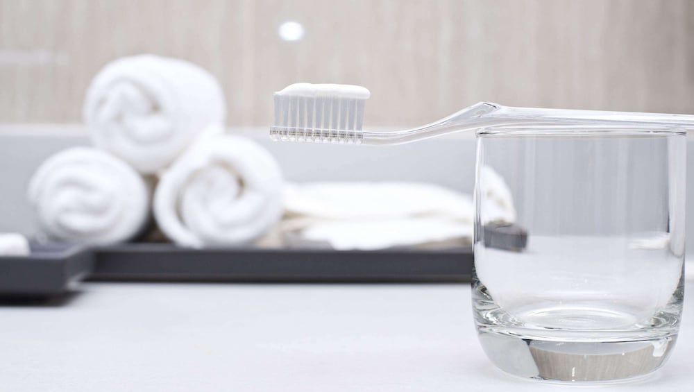 magnuson hotel fowlerville