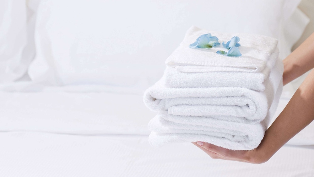 magnuson hotel fowlerville