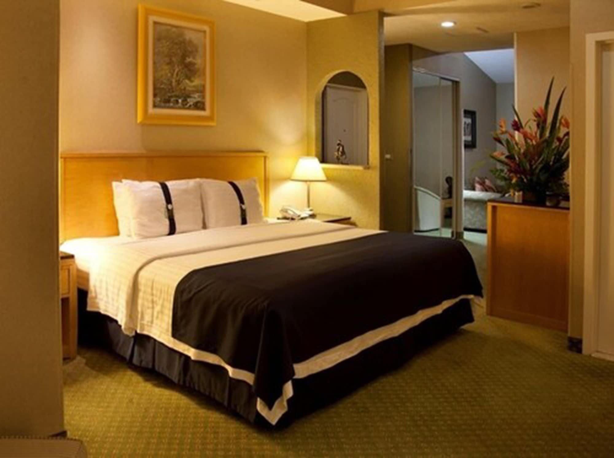 holiday inn cuernavaca by ihg