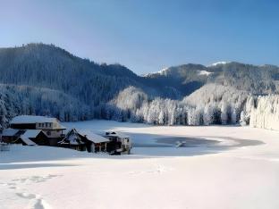 aanantham country resort