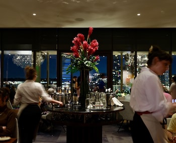 the loren hotel austin