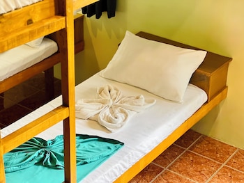 garden of eden dive resort