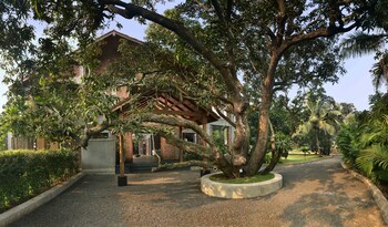 ama stays and trails the mango house alibag