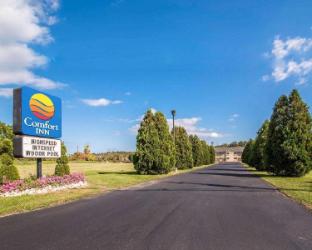 comfort inn saugerties