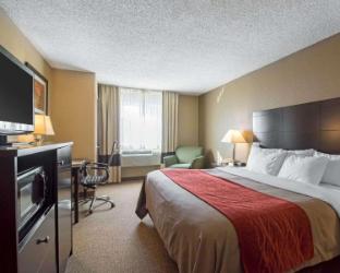 comfort inn saugerties