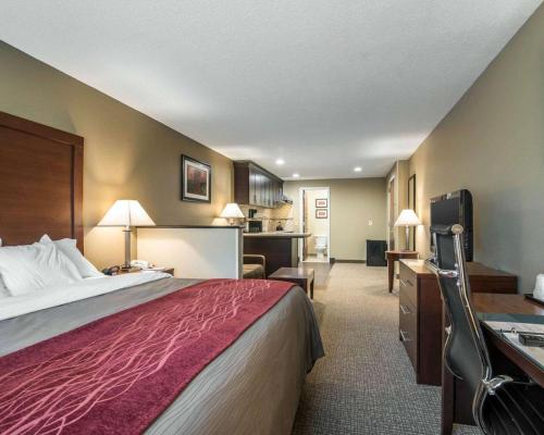 comfort inn saugerties