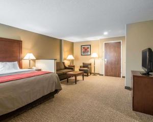 comfort inn saugerties