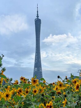 doubletree by hilton guangzhou zengcheng