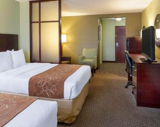 Comfort Suites Harvey - New Orleans West,Jefferson>>Harvey,3 star