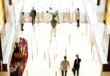 the ritz carlton shenzhen