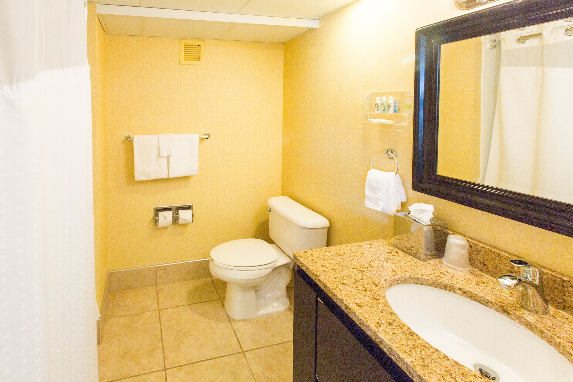 holiday inn sioux falls city centre by ihg