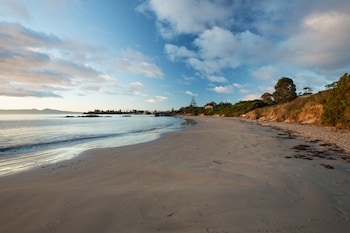 swansea