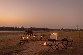 south luangwa national park