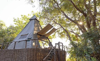 south luangwa national park