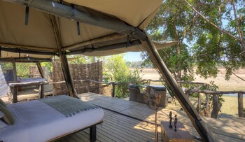 south luangwa national park