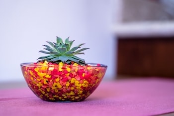 hotel boutique mardeka