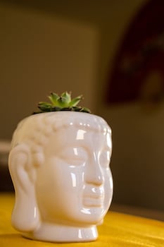 hotel boutique mardeka