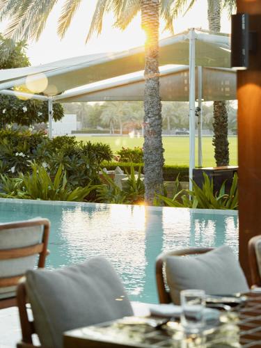 melia desert palm member of melia collection