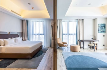 savitsky plaza hotel