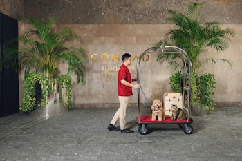 conrad singapore orchard