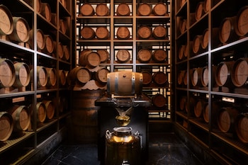 conrad singapore orchard