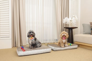 conrad singapore orchard