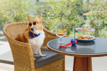 conrad singapore orchard