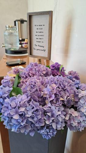 hematian hotel by effy