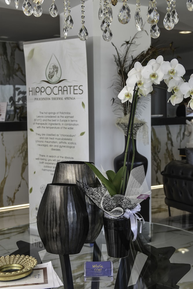 mythical coast wellness retreat