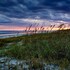 holiday inn express hilton head island by ihg