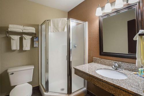 quality inn and suites