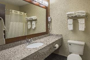 quality inn and suites