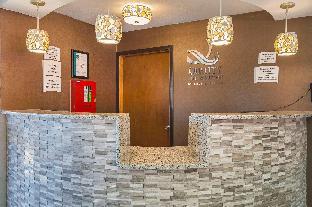 quality inn and suites