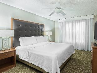 homewood suites by hilton holyoke springfield north