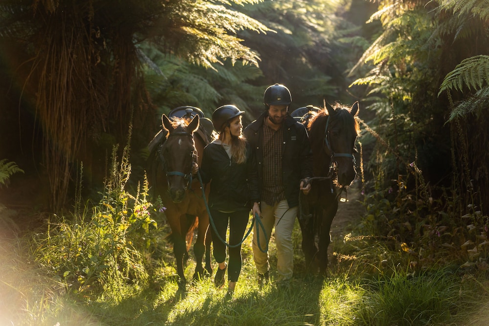 treetops lodge and estate