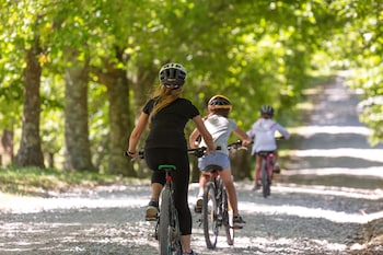 treetops lodge and estate