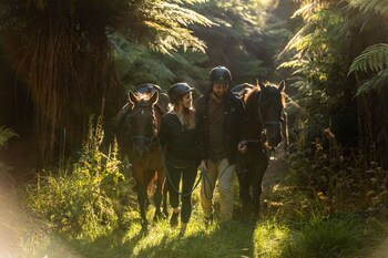 treetops lodge and estate