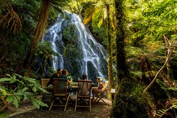 treetops lodge and estate