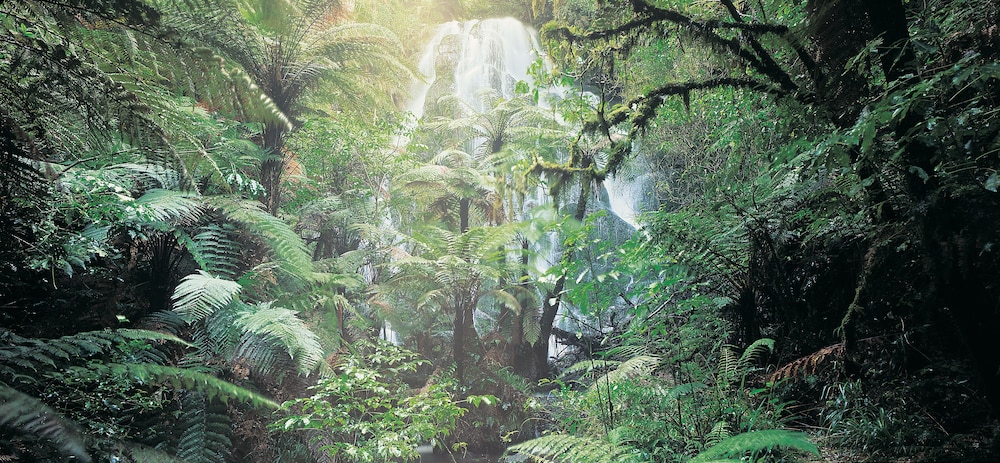 treetops lodge and estate