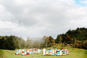 treetops lodge and estate