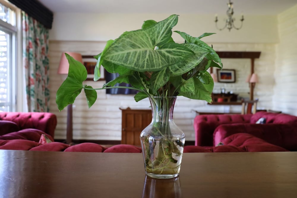 taita hills safari resort and spa