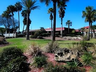 motel 6 spring hill fl weeki wachee