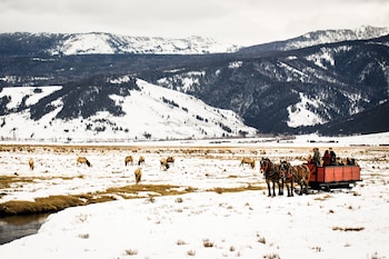 four seasons resort jackson hole